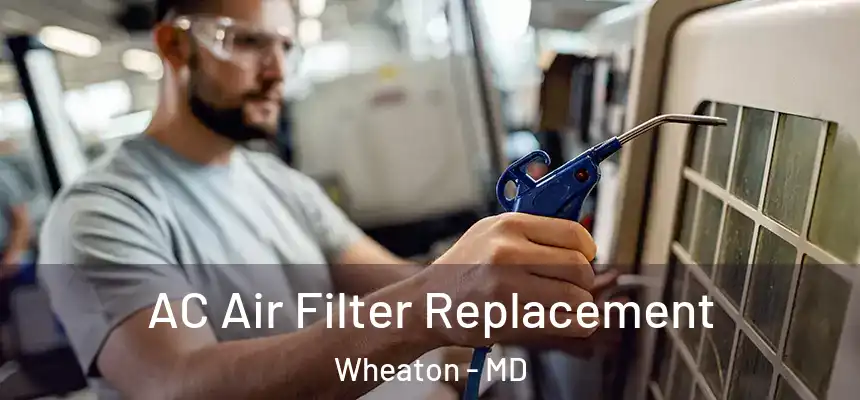 AC Air Filter Replacement Wheaton - MD