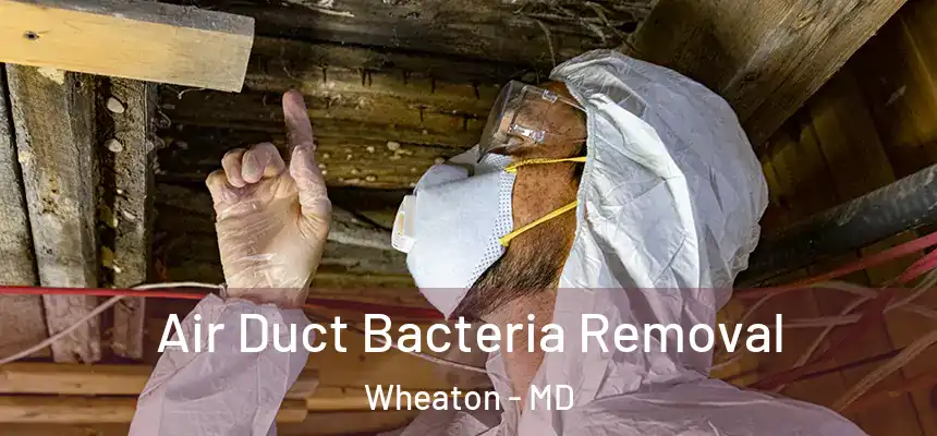 Air Duct Bacteria Removal Wheaton - MD