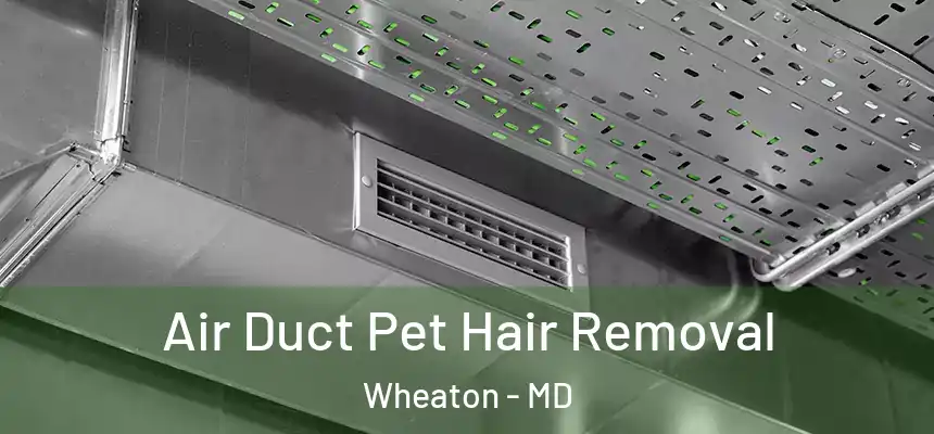 Air Duct Pet Hair Removal Wheaton - MD