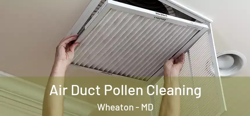  Air Duct Pollen Cleaning Wheaton - MD