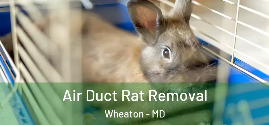 Air Duct Rat Removal Wheaton - MD