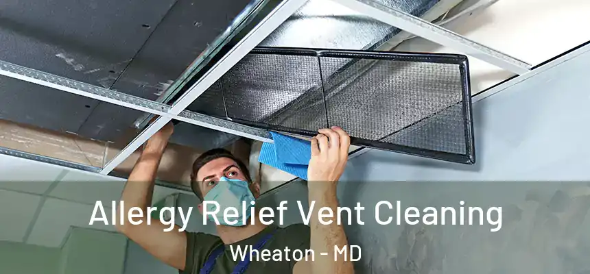 Allergy Relief Vent Cleaning Wheaton - MD