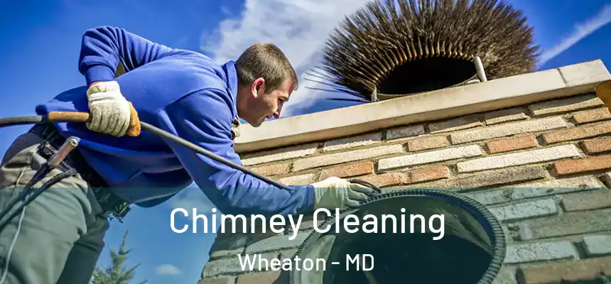 Chimney Cleaning Wheaton - MD
