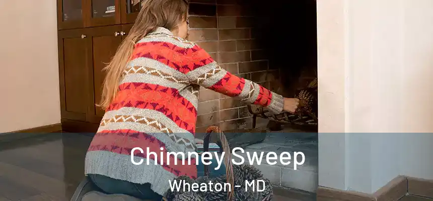 Chimney Sweep Wheaton - MD