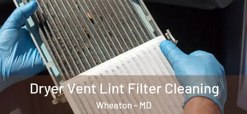 Dryer Vent Lint Filter Cleaning Wheaton - MD