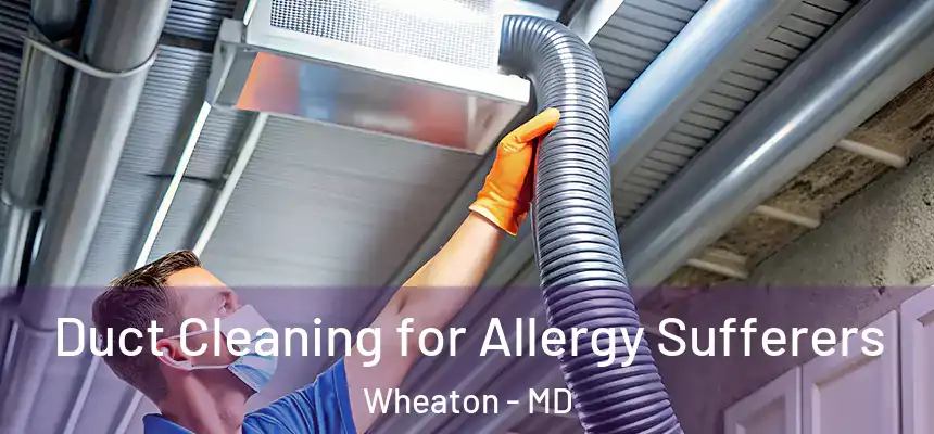 Duct Cleaning for Allergy Sufferers Wheaton - MD