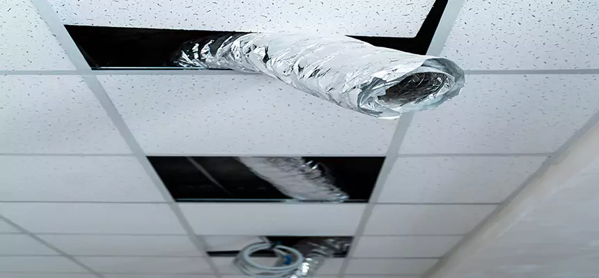 Our Air Duct Pet Hair Removal Services in Wheaton, MD