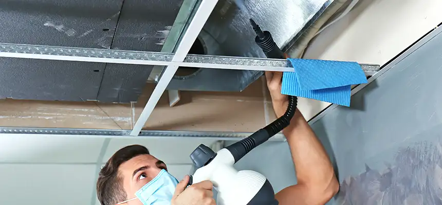 Our Air Duct Rodent Removal Services in Wheaton, MD