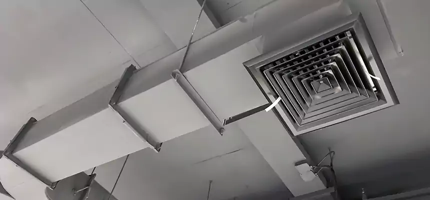 Restorative Allergy Relief Vent Cleaning – Coil, Blower & Housing Detail in Wheaton