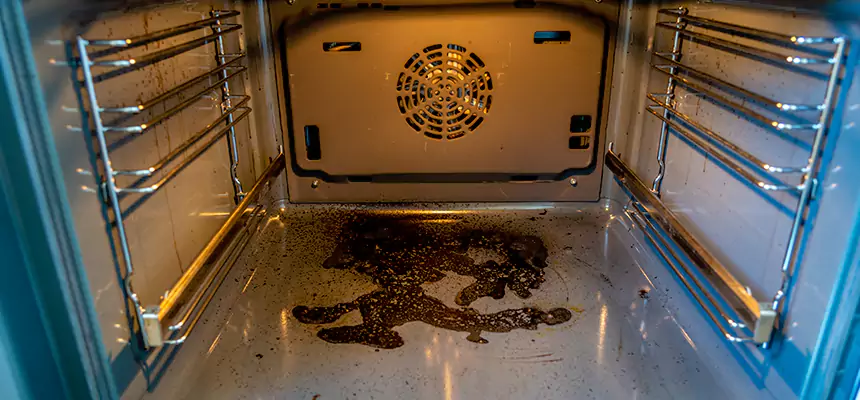 Our Dryer Vent Mold Cleaning Services in Wheaton, MD