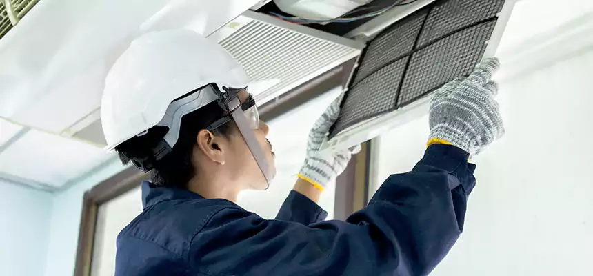 Our Mold & Mildew Removal from Air Ducts Services in Wheaton, MD