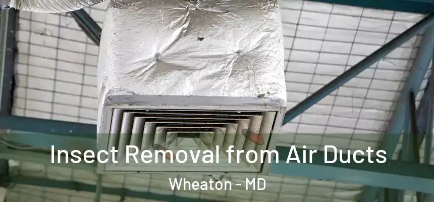 Insect Removal from Air Ducts Wheaton - MD