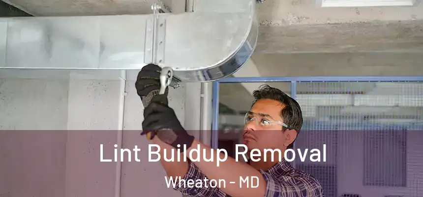  Lint Buildup Removal Wheaton - MD