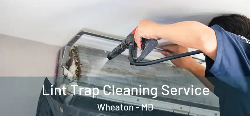  Lint Trap Cleaning Service Wheaton - MD