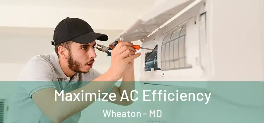 Maximize AC Efficiency Wheaton - MD