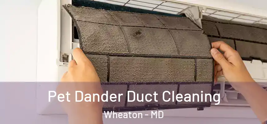 Pet Dander Duct Cleaning Wheaton - MD