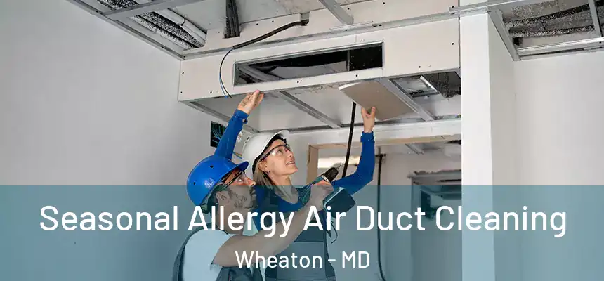Seasonal Allergy Air Duct Cleaning Wheaton - MD