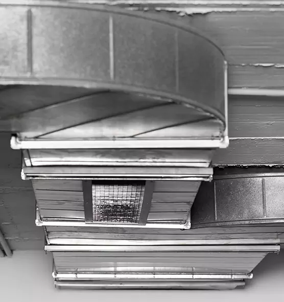 Professional Air Duct Pet Hair Removal in Wheaton, MD