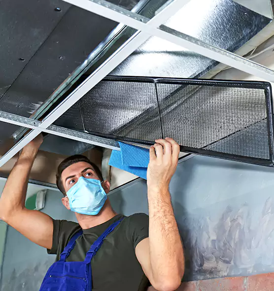 Professional Air Duct Pollen Cleaning in Wheaton, MD