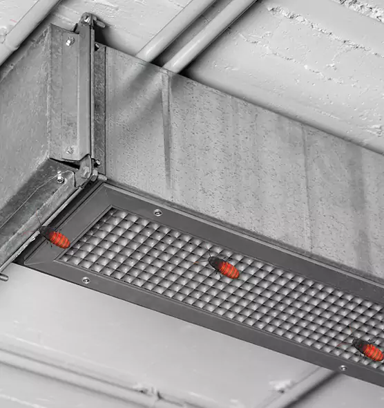 Affordable Insect Removal from Air Ducts in Wheaton, MD