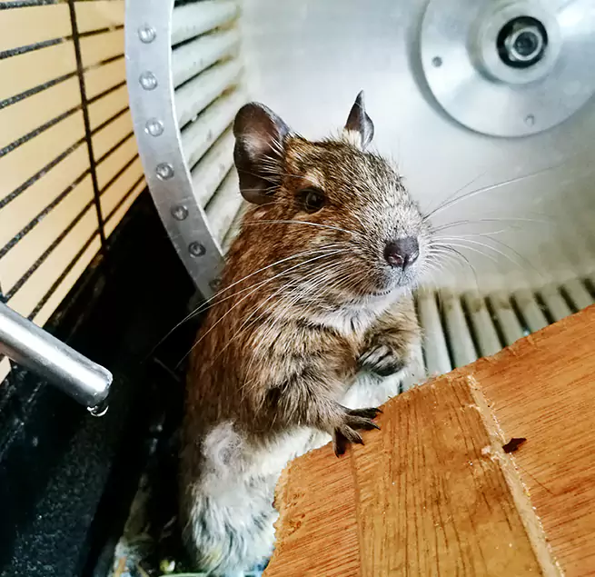 Why Homeowners & Businesses Trust Us Wheaton, MD