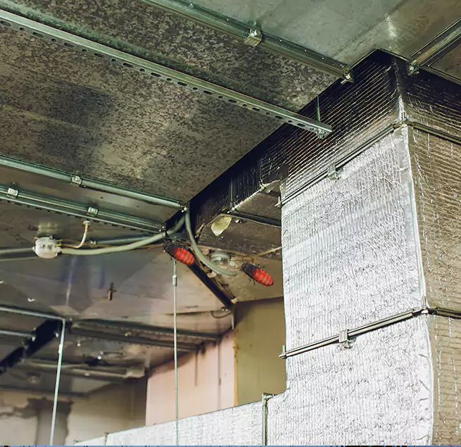 Why Homeowners & Businesses Trust Us Wheaton, MD?