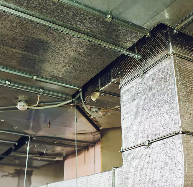 Why Homeowners & Businesses Trust Us in Wheaton, MD?