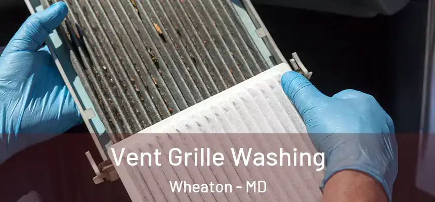 Vent Grille Washing Wheaton - MD